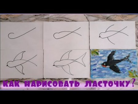 Пошаговое рисование птицы для детей старшей группы
