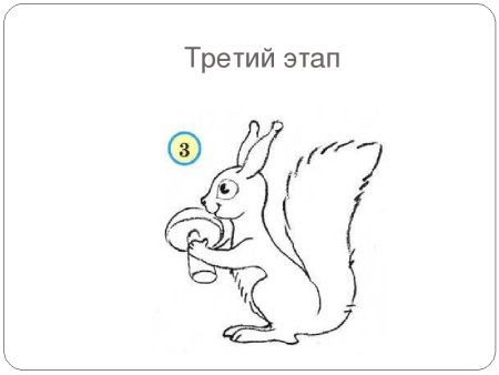 Рисование Белочка
