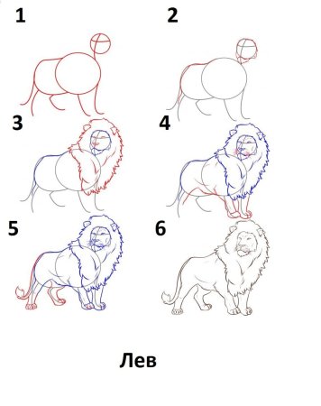 Как нарисовать Льва сбоку