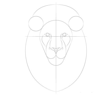 Голова тигра рисунок поэтапно