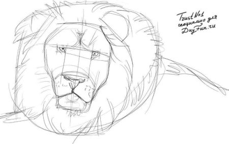 Лев вид сбоку рисунок