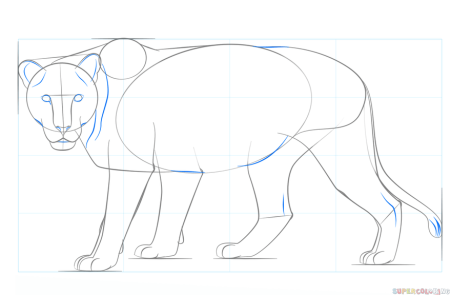 Поэтапное рисование головы Льва