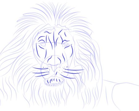 Король Лев рисовать поэтапно