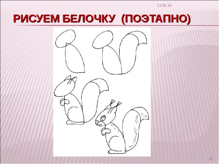 Белка поэтапное рисование