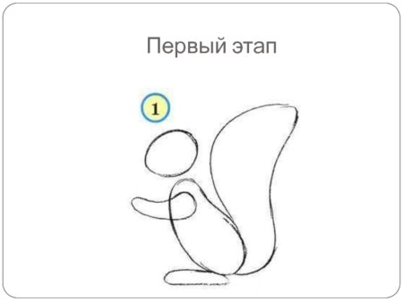 Поэтапное поэтапное рисование Белочка