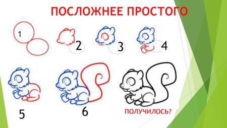 Нарисовать белочку для детей легко