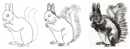 Белочка рисунок легкий