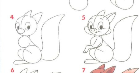 Поэтапное рисование белочки