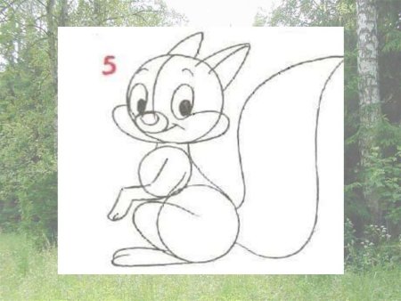 Как нарисовать белку