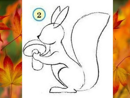 Поэтапное рисование белки в старшей группе