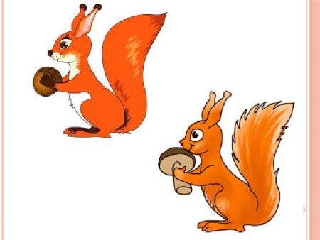 Рисуем белочку поэтапно для детей