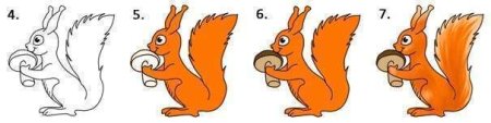Поэтапное рисование белки