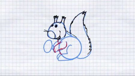 Как нарисовать белку поэтапно для детей