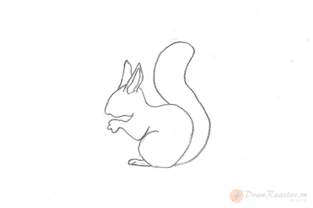 Белочка поэтапное рисование для детей