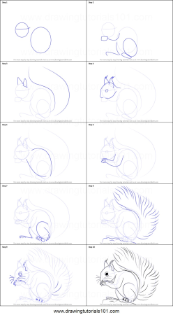 Белочка рисунок для детей карандашом