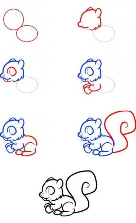 Поэтапное рисование белочки