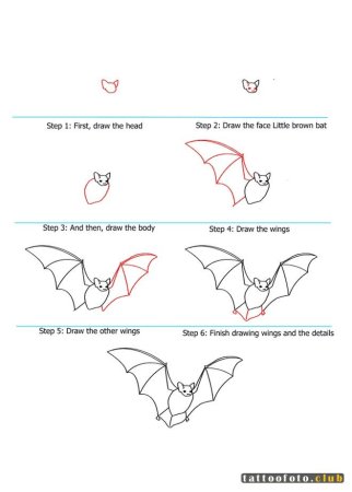 Поэтапное рисование летучей мыши