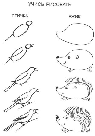 Поэтапное рисование ежика