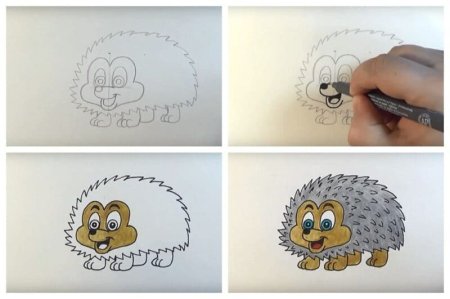 Этапы рисования ежика