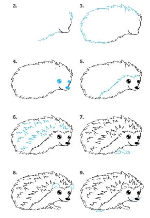 Поэтапное рисование ежика