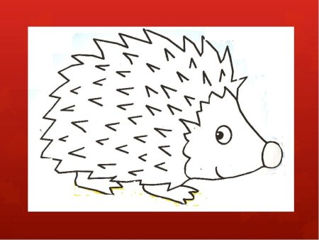 Нарисовать ежа