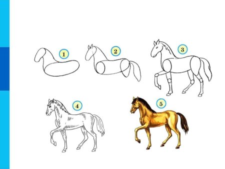 Схема рисования лошади для дошкольников