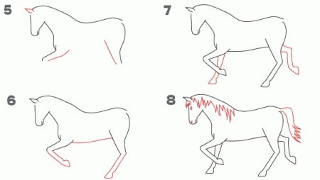 Этапы рисования лошади