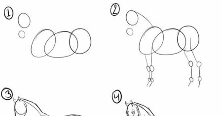 Поэтапное рисование животных