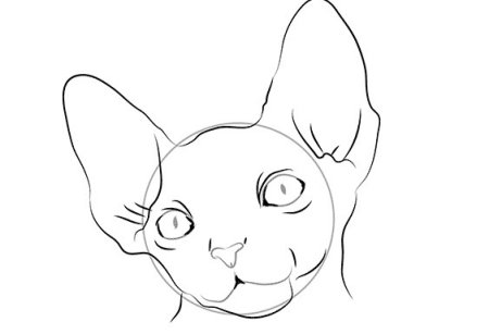 Нарисовать сфинкса кота поэтапно