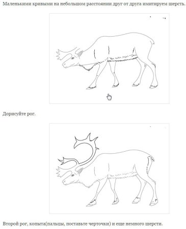 Поэтапный рисунок оленя