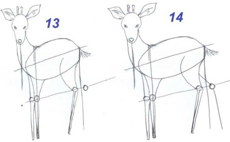 Рисунок оленя для срисовки
