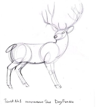 Поэтапное рисование оленя