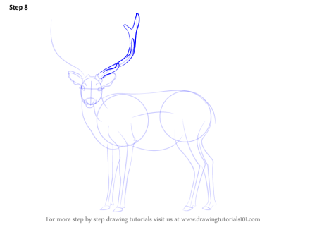 Как нарисовать оленя поэтапно
