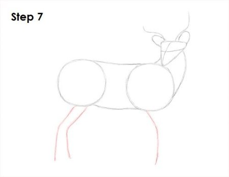 Рисование оленя пошагово