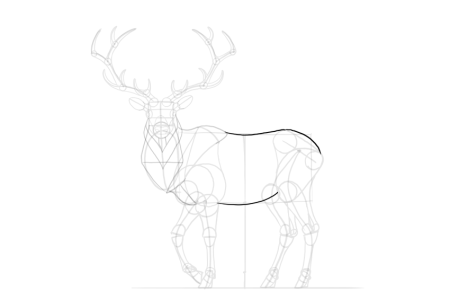 How to draw a Deer drinking Water Step by Step
