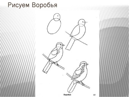 Рисование воробья