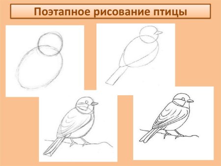 Рисование птиц