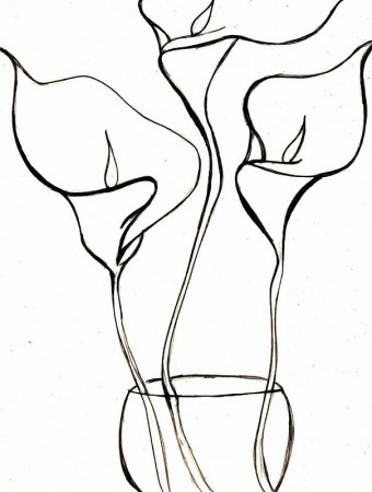 Каллы эскиз