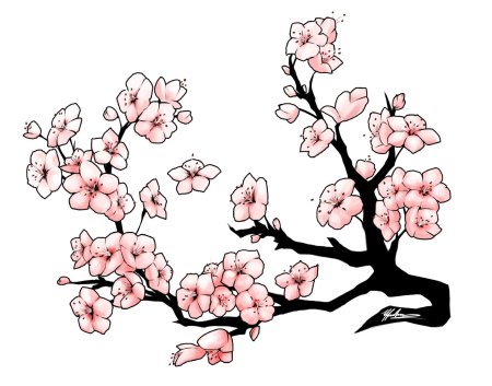 Сакура картинка нарисованная
