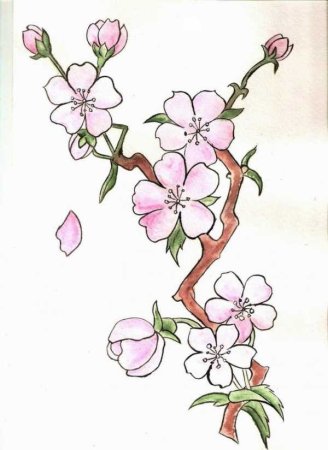 Цветы для срисовки легко