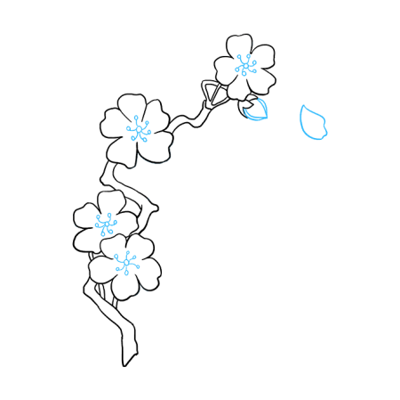 Поэтапное рисование цветов Сакуры