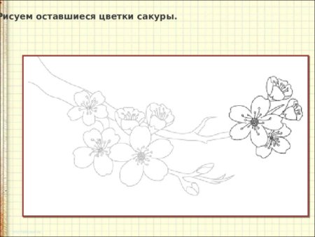Ветка Сакуры рисунок 4 класс