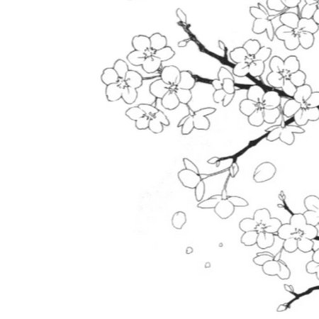 Сакура дерево сбоку