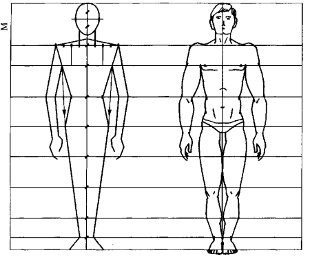 Рисунок человека поэтапно