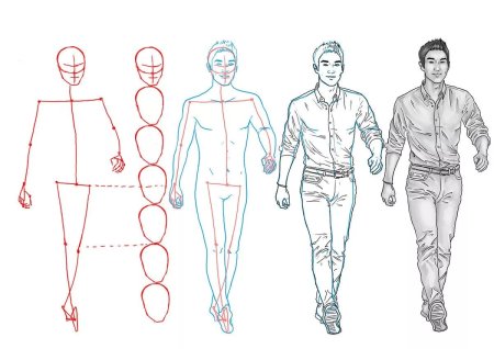 Анатомия тела для рисования