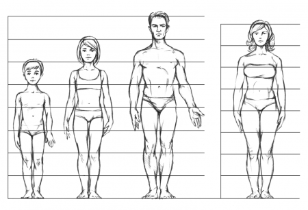 Как нарисовать тело человека