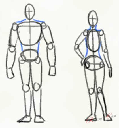 Пропорция человека для рисования сбоку