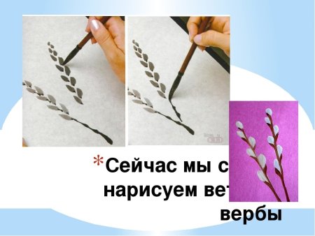 Поэтапное рисование вербы для детей
