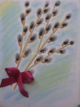 Рисование вербы в старшей группе