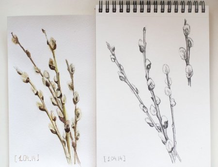 Ветка вербы поэтапность